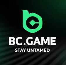 BC.Game KZ Registration Process A Comprehensive Guide -216869827