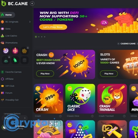 Understanding the BC.Game Login Process A Complete Guide -222577358